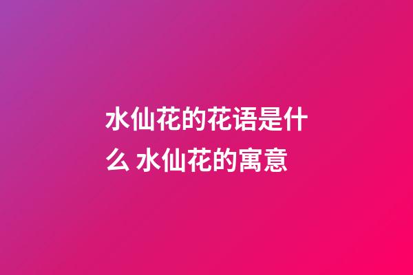 水仙花的花语是什么 水仙花的寓意